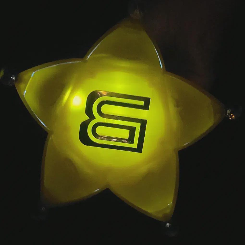 

Bang Bong Big Bang Cheering Stick Bee 3 Ver.