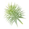 Artificial Pine Plant Simulation Home Office Ornament Plant Decoration