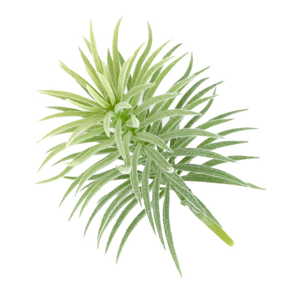 Artificial Pine Plant Simulation Home Office Ornament Plant Decoration