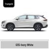 Ivory White and Bright Moon Gray Touch-Up Paint Pen for GAC Trumpchi GS5 - Scratch Repair Solution