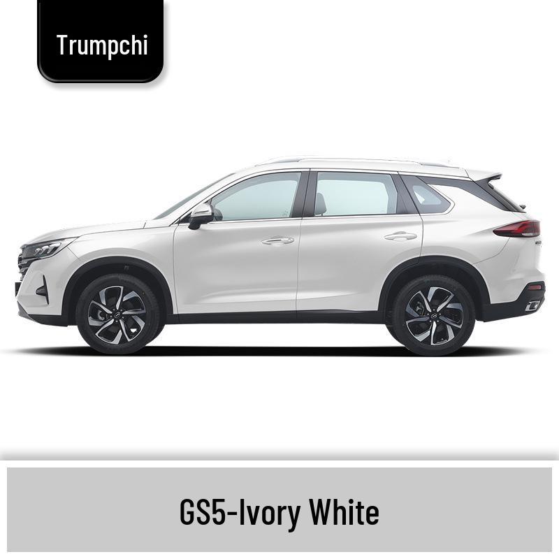 Ivory White and Bright Moon Gray Touch-Up Paint Pen for GAC Trumpchi GS5 - Scratch Repair Solution
