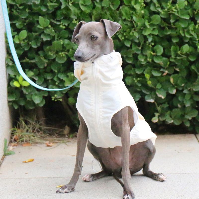 

Summer Italian Little Greyhound Dog Coats Huibit Bellington Waterproof Vest Translucent Thin Version Dog Clothes Pet Products M 5-6kg білий