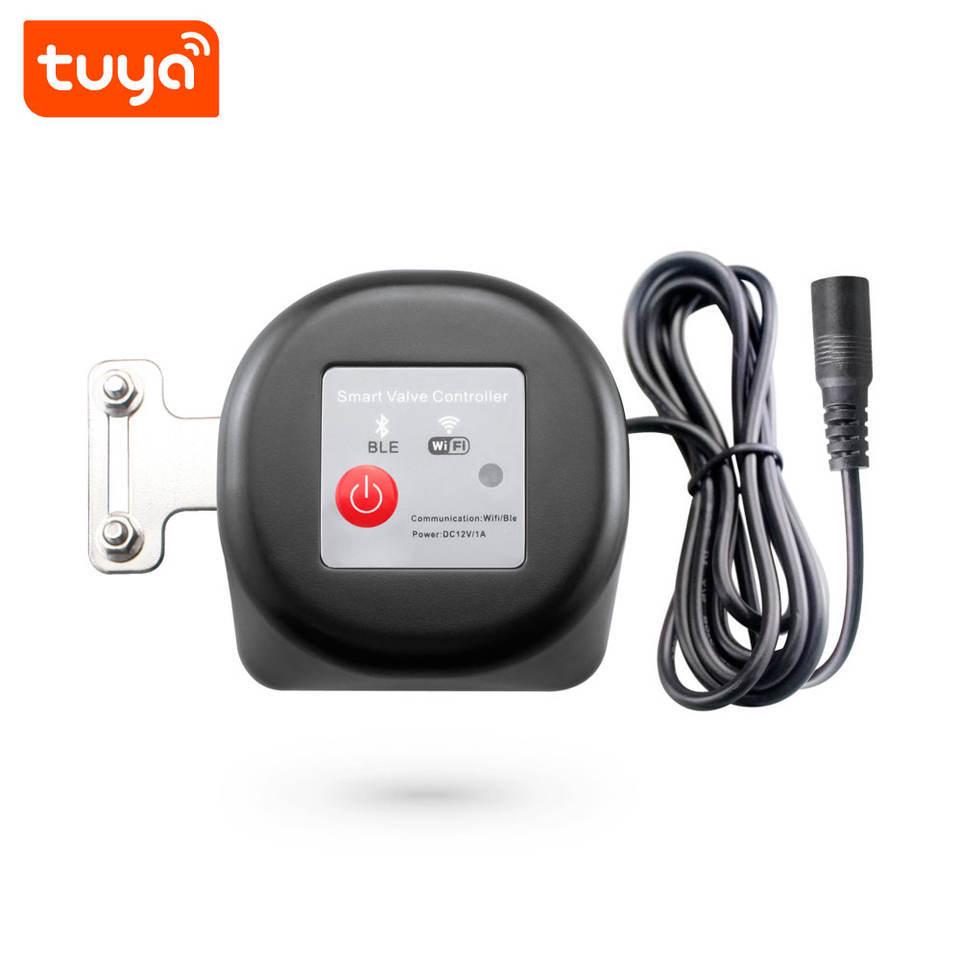 Graffiti Smart Wireless Water & Air Valve with Remote Voice Control