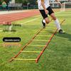 Agility-Trainingsleiter