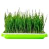 ZDQ003 Home Seed Germination Tray Seedling Planting Pot Wheatgrass Cultivation Soilless Tray for Gardening And Agriculture