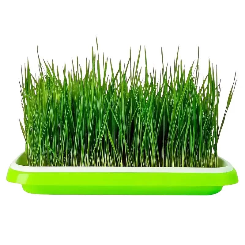 ZDQ003 Home Seed Germination Tray Seedling Planting Pot Wheatgrass Cultivation Soilless Tray for Gardening And Agriculture