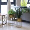 Outdoor European Stand Flower Wrought Iron Round Floor-standing Green Flower Pot Stand Living Room Storage Bedroom Flower Stand