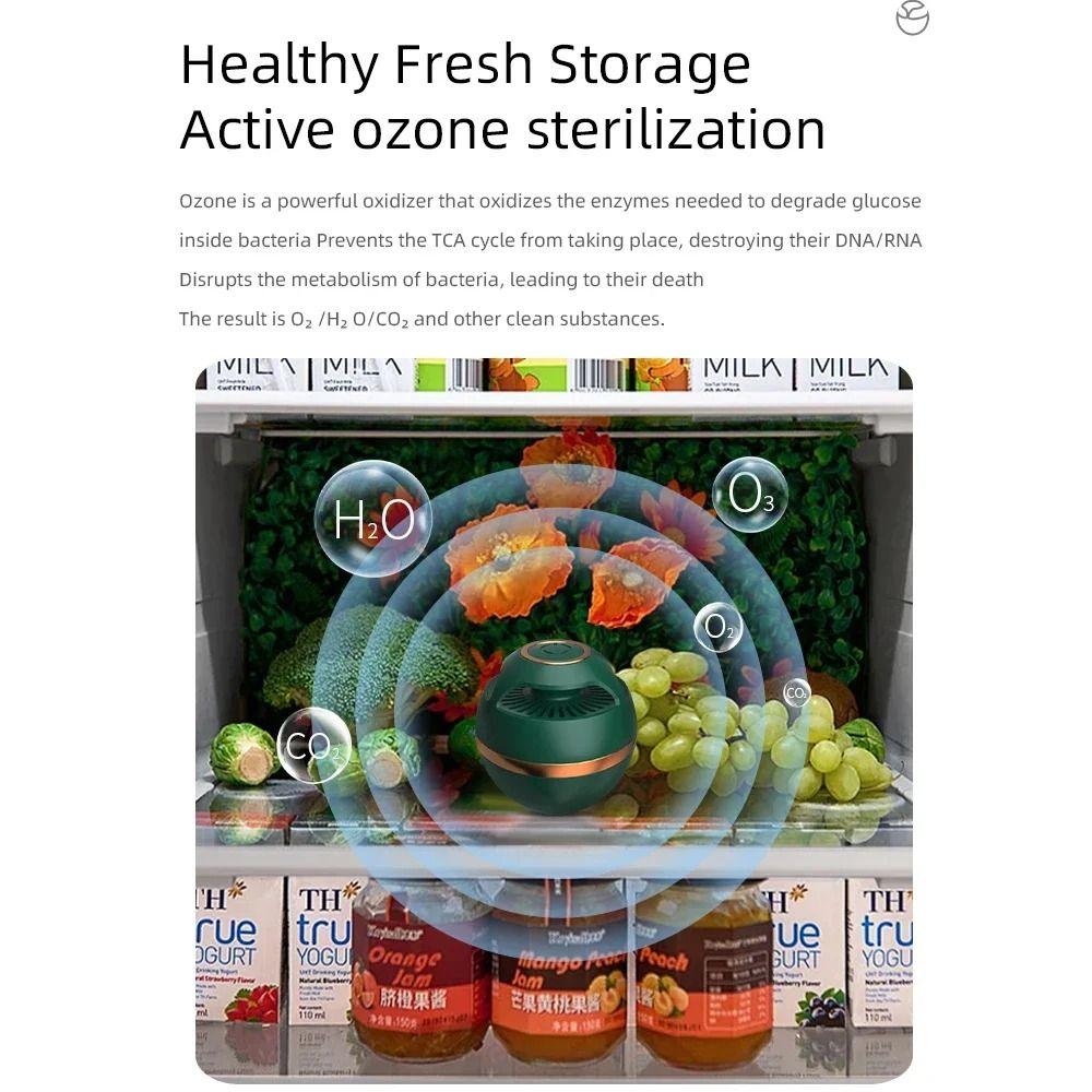 Effective Refrigerator Deodorizer Plastic Odor Eliminator Air Purifier  Home