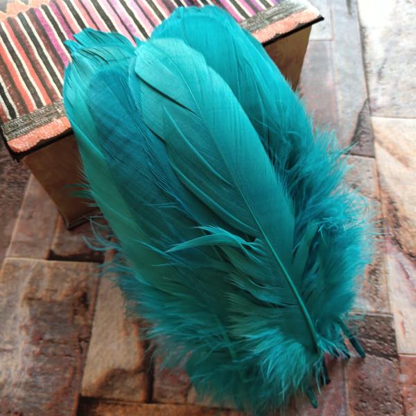 20pcs Natural Goose Feathers 31 Color Loose Goose Feathers 12-20cm Long Christmas Decoration Clothing Shoes Hat Accessories