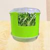 Seedling Sprouter Tray Large Capacity Multifunctional Nursery Tray Portable Planting Box Grower Sprouting Container for Pea Bean