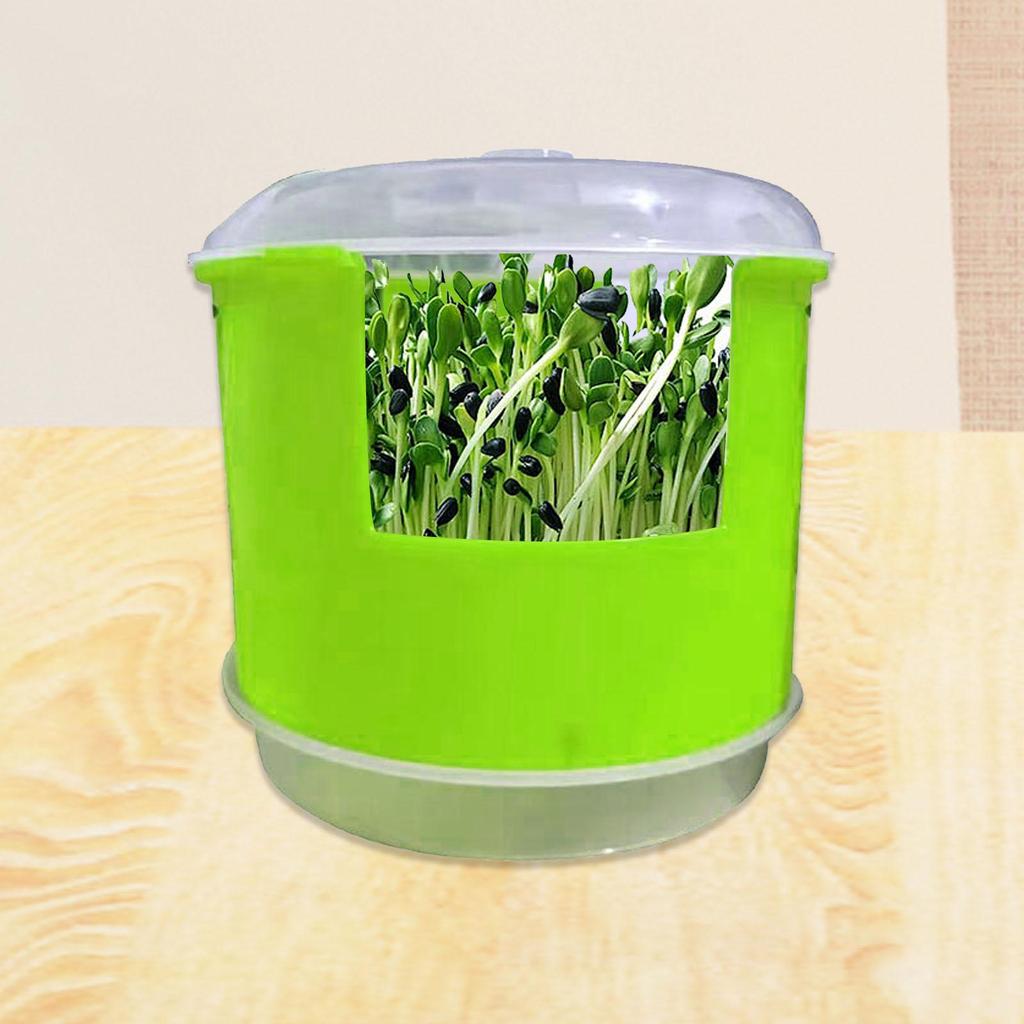 Seedling Sprouter Tray Large Capacity Multifunctional Nursery Tray Portable Planting Box Grower Sprouting Container for Pea Bean