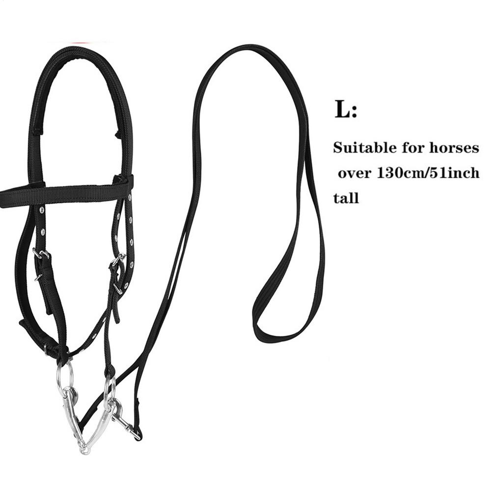 Horse Bridle Headband Throat Latch For Horse Bridle With 3 Buckles Horse Head Headstall Lead Rope Horse Farm Must-have