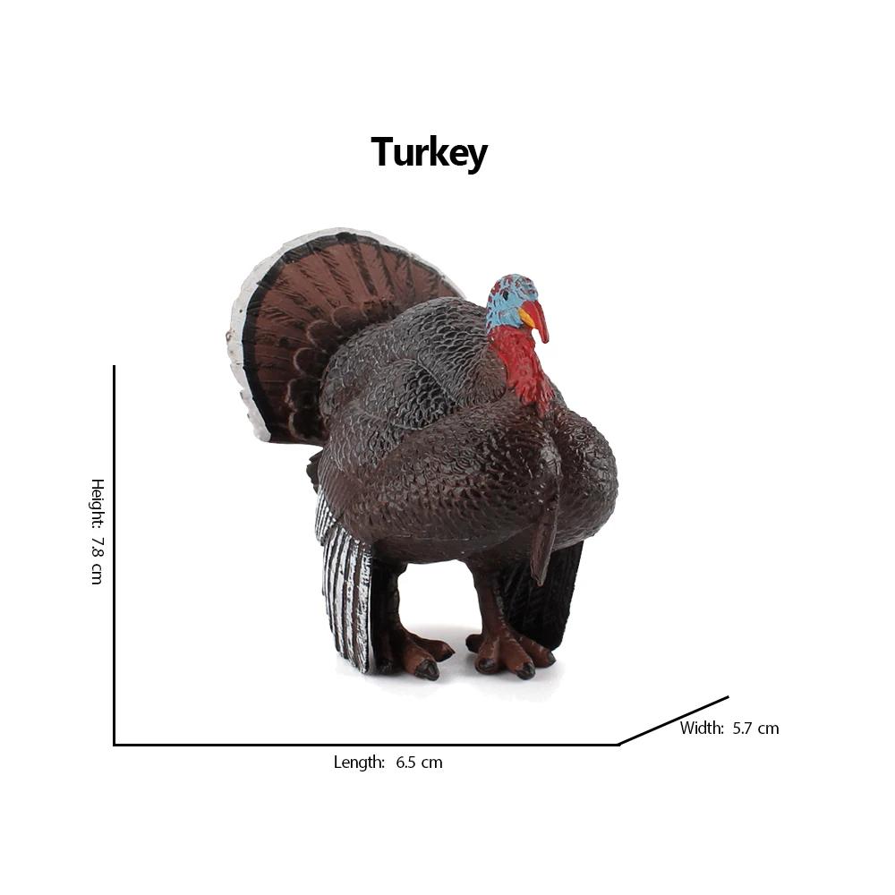 Kiwi Bird Jungle Animals Figures Peacock Phoenix Mallard Turkey Toucan Action Figure Toy Animal Figurines Toys for Kids Gifts