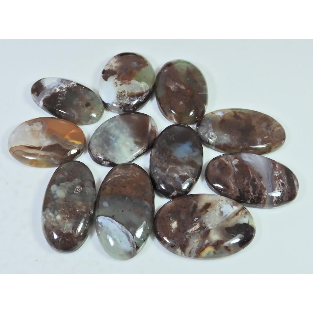 324Cts. Natural Chrysoprase Oval Shape Cabachon Loose Gemstone 11 Pcs Lot C-2574