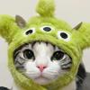 Cat Cute Cartoon Decorative Funny Cat Headwear Cat Dog Hat Headgear Pet Cute Funny Artifact Warm Plush Pet Hat Pet Photo Props