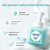 Blue Moon Fresh Fruit Mint Foam Antibacterial Hand Wash