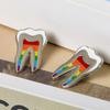 Dental Gift Badge Metal Tooth Type Shape Molar Brooch Badge Pin Adornment