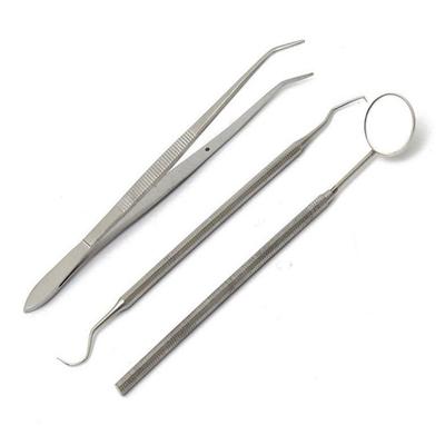 P Mart India Stainless Steel Dental Instruments Mouth Mirror Probe Plier Kit