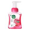 Foaming Hand Soap - Cherry Fragrance (Twin Pack)