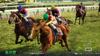 Winning Post 10 2026 [Switch]