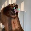 Cartoon Wild Goose Shark Clip Hairpin Acetate Shark Clip Fashion Bird Hair Claw  Party