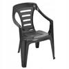 Plastic Garden Chair with Graphite Backrest