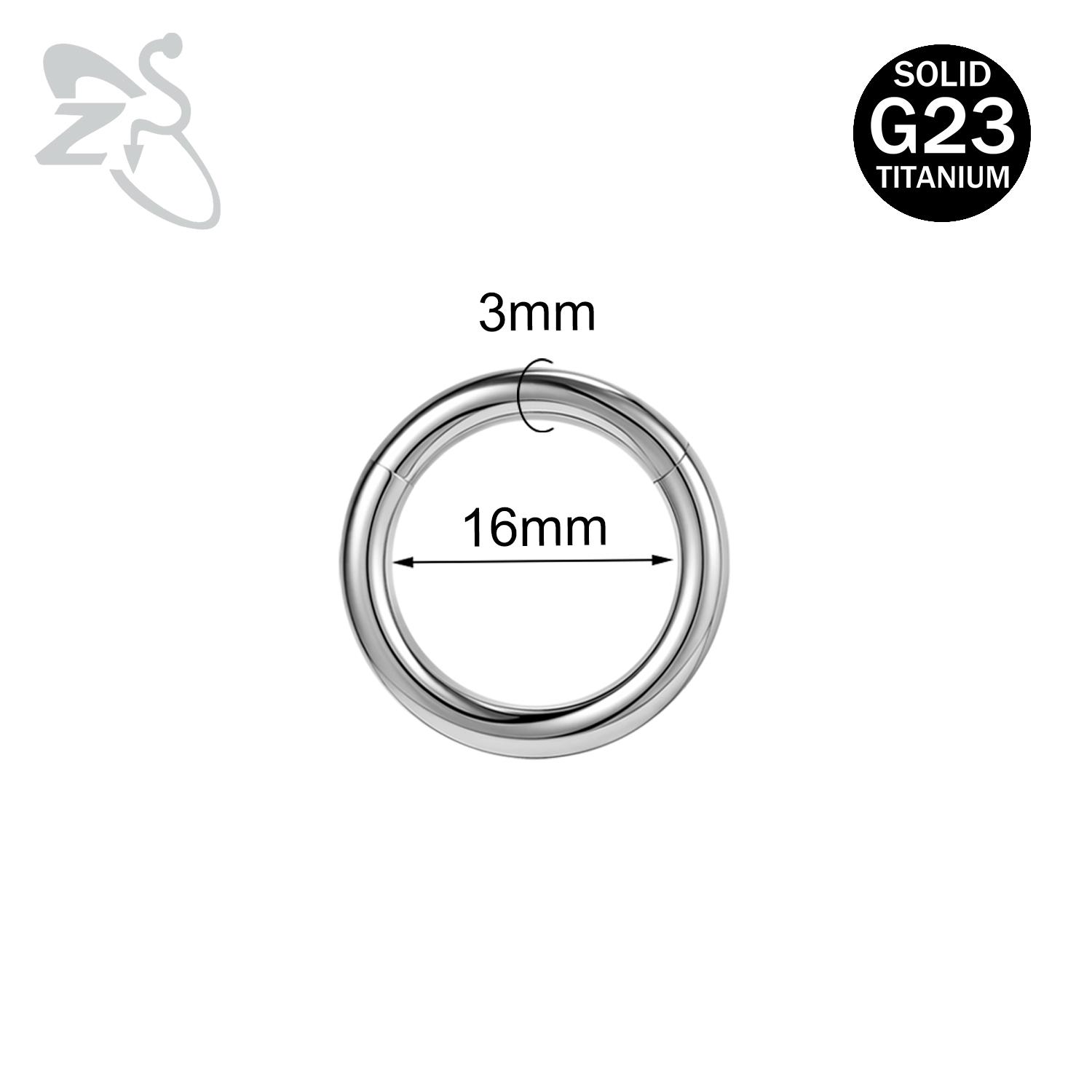 

ZS 1PC G23 Titanium Hoop Earring for Women Silver Plated Circle Earring Large Gauge Seputm Nose Ring 2/4/6/8/10/12G Punk Earring