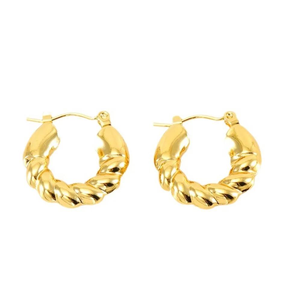 Women's Textured Stainless Steel Hoop Earrings Light Luxury High-End Non-Fading Vacuum Plated Jewelry Accessory