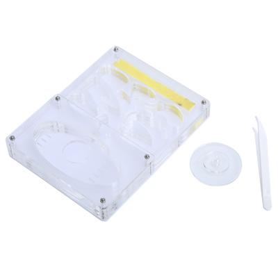 Acrylic Transparent 3D Nursery Ant Farm Formicarium Insect Nest Feeding System Ants Box