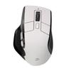 Ergonomic Dual-Mode Wireless Mouse with Display