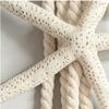 Starfish Starfish Fixing Curtain Tie Stable Curtain Buckle Starfish Curtain Tie Rope  Living Room
