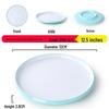 Nordic Round Melamine Shallow Plate for Buffets and Stir-Fry Dishes