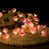 Peach & Plum Blossom LED String Lights: Outdoor Flower Copper Wire Decor with Colored Battery-Powered Lights