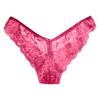 Women Sexy Lace See-Through Breathable Soft Briefs Panties Lingerie Underwear