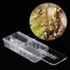 10pcs Plastic Beekeeping Rearing Cup Kit Bee   Cages Beekeeper Equipment Tools