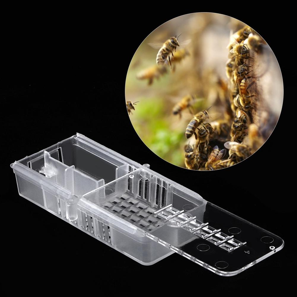 10pcs Plastic Beekeeping Rearing Cup Kit Bee Cages Beekeeper Equipment Tools