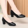 Women's Black Medium Heel Interview Dress Professional Shoes Suit Leather Shoes Large Size Single Shoes Women's Shoes