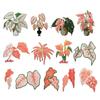 Exquisite Plant Embroidery Cloth Sticker Bag Decoration Leaf Flower Pot Chapter Boy Red Chapter Patch Sticker Clothes Decoration Ironing