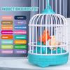 Realistic Voice Talking Electric Bird Parrot Cage Simulation Bird Cage  Kids Toy
