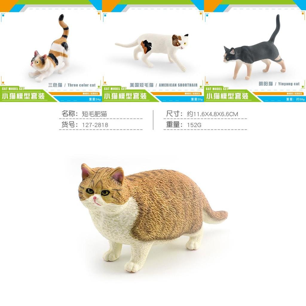 Exquisite Plastic Cat Model Figurine Short Hair And Persian Cat Home Display