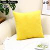High-Quality 45*45CM Plush Pillow Case with Padded Layer for Cozy Home Decor