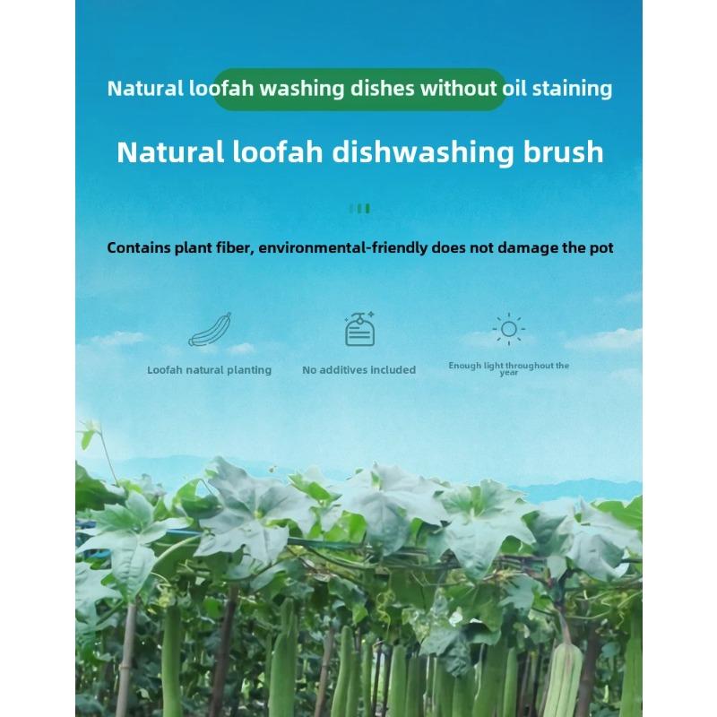 Loofah Natural Household Kitchen Brush Pot Brush Dishes Clean Pulp Dishwashing Cloth Hot Sale Rags Cleaning Cloth