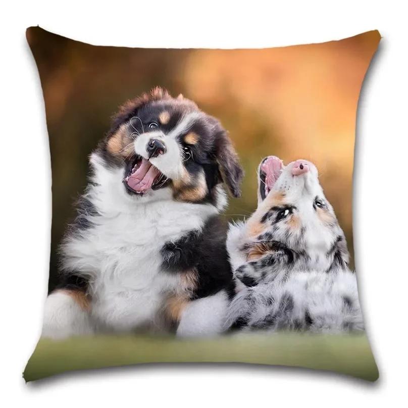 

Чехол на подушку Animal Love Family, декоративный дом с изображением большой кошки, кресло-диван, автокресло, наволочка для спальни с изображением друга, подарок для детей 30x30cm