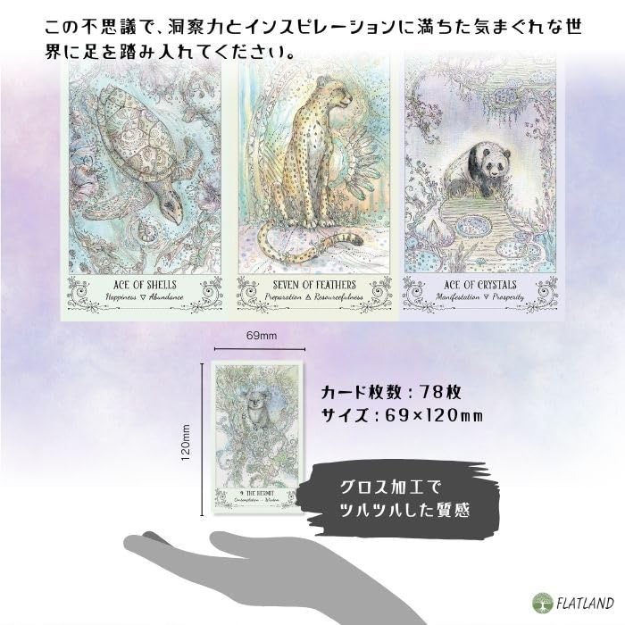 Paulina Tarot Tarot Reading Instructions with Japanese Instructions, Authentic Tarot Cards, 78 Cards, Beautiful