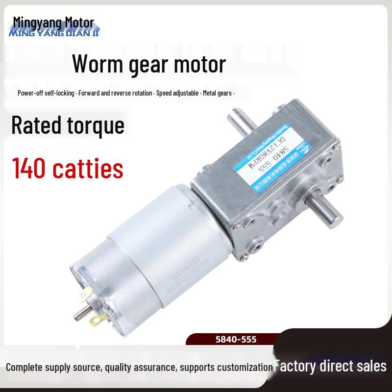 Dual-Shaft Brushed DC Gear Motor 12V/24V, Speed-Adjustable, 5840-555