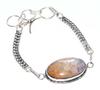 Most Beautiful Fossil Coral 925 Silver Plated Bracelet 9" Most Beautiful S5c12