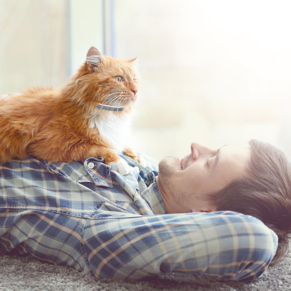 excelvan flea collar