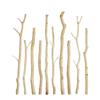 Natural Driftwood Hanging Clothes Rail: Solid Wood Tree Trunk for Decorative Wall Partition In Living Room or Hotel.