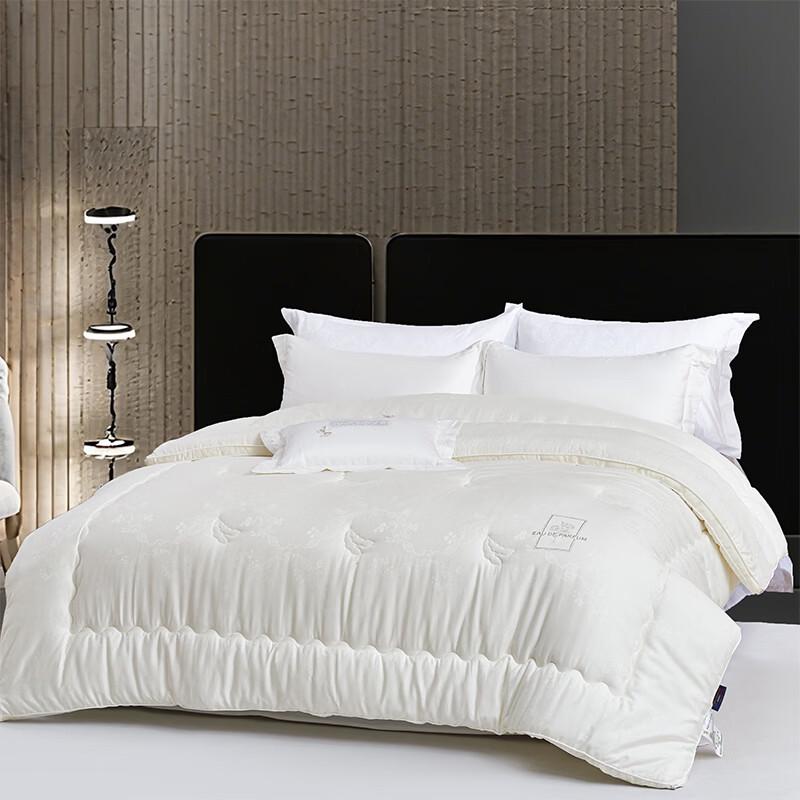 PAUI DAVID Thickened All-Season Polyester Quilt