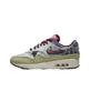 Nike Air Max 1 SP X Concepts Mellow Air Max DN1803-300